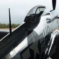 P-51D-Mustang-48