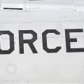 F-100-birds-21
