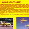 yellow-jacks-uk-10